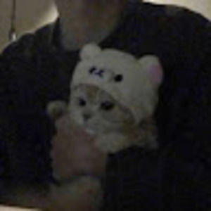 Meet your Posher, Laila